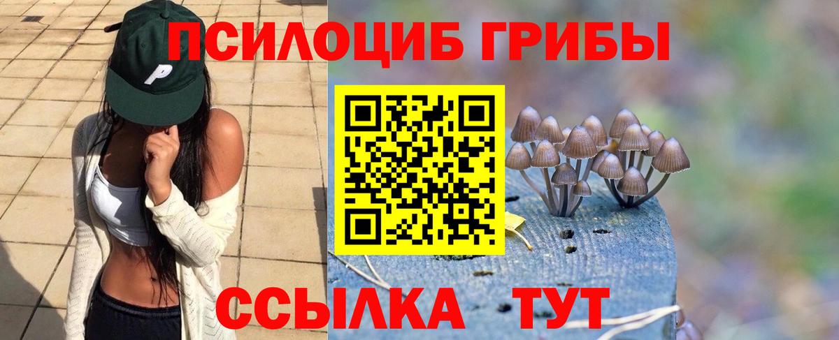 Псилоцибиновые грибы Psilocybe  наркошоп  Вход с VPN  Красноуфимск  Псилоцибиновые грибы Cubensis 